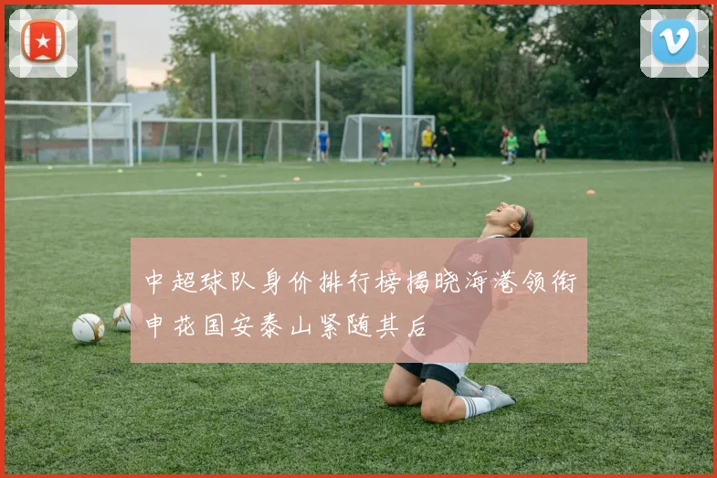 中超球队身价排行榜揭晓海港领衔申花国安泰山紧随其后